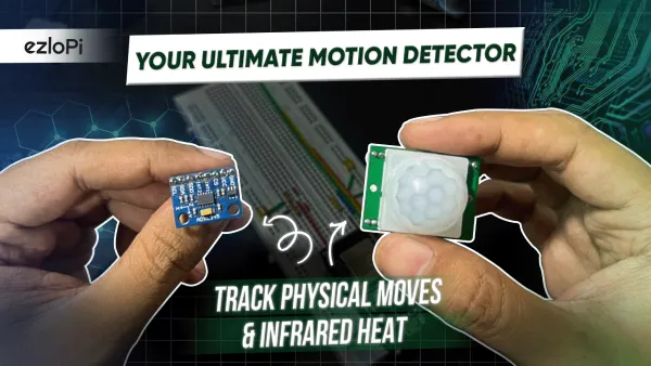 Movement and IR radiation detection